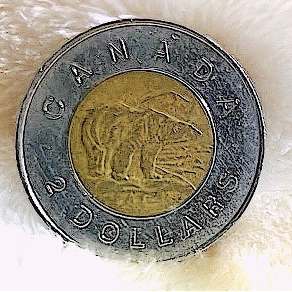 🐻🇨🇦 1996 CANADIAN TWO-TONE ELIZABETH D.G. REGINA POLAR BEAR $2 TWO DOLLAR COIN